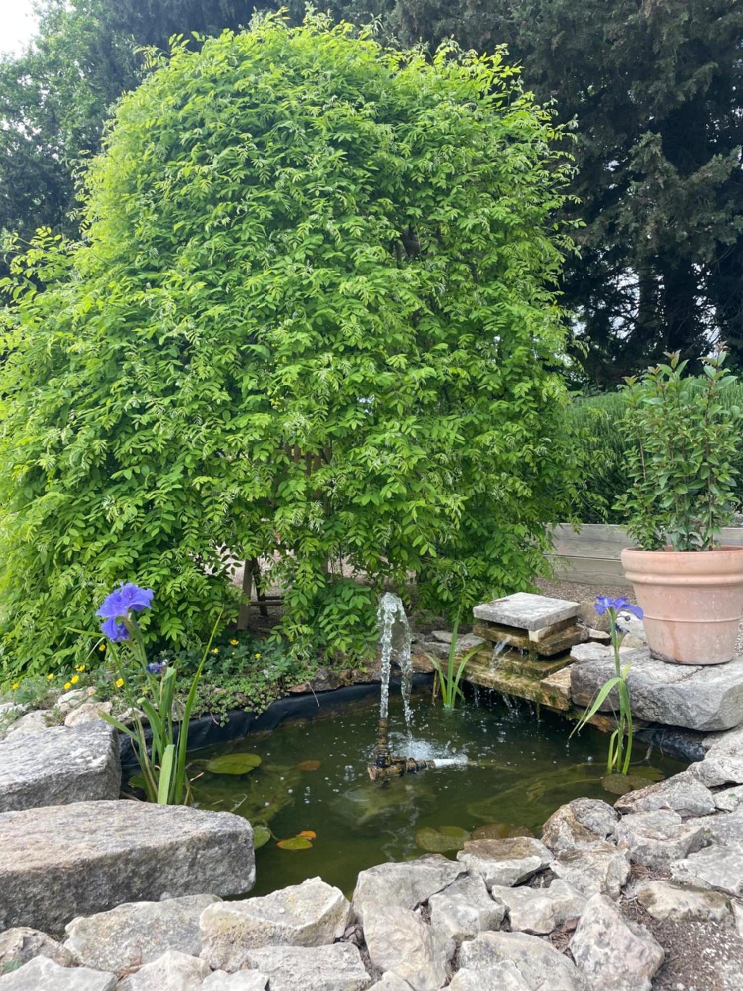 Arles Campagne Location "La Campagn'Arles" B&B 외부 사진